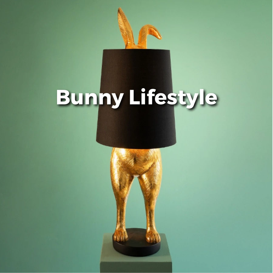 bunny-lifestyle